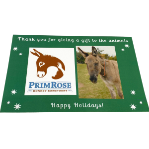 Give a friend the gift of a donation to Primrose Donkey Sanctuary