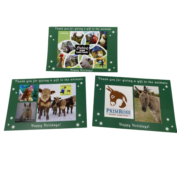 Give a friend the gift of a donation to Primrose Donkey Sanctuary